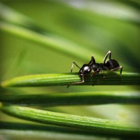 /album/zoe-programaton/photolia-a05-jpg/