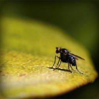 /album/zoe-programaton/photolia-a07-jpg/